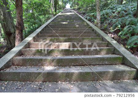 2021年豐臣秀吉的墓地閃耀著新鮮的綠色京都“豐國陵(Amidagamine峰會)” 2021年豐臣秀吉的墓地閃耀著新鮮的綠色京都“豐國陵(Amidagamine峰會)” 79212956