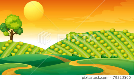 Blank meadow landscape scene at sunset time Blank meadow landscape scene at sunset time 79213500