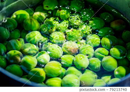 ume, umeshu, botanic 79213740