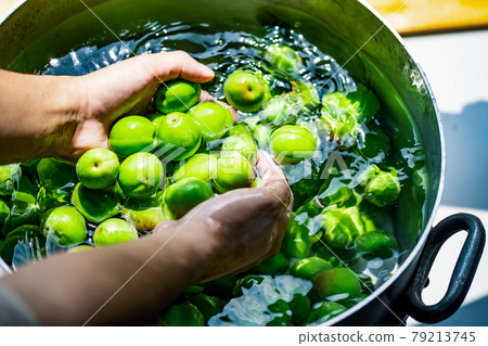 ume, umeshu, wash 79213745