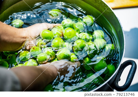 ume, umeshu, wash 79213746