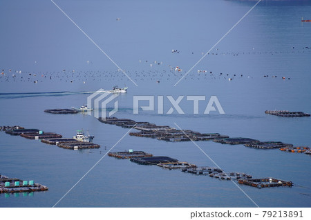 運行在Uwa海的一個漁船 79213891