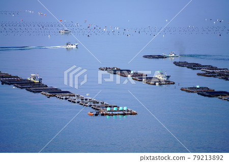 宇和海農場 宇和海農場 79213892