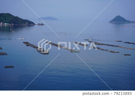 愛媛宇和鯛魚養殖場 79213893