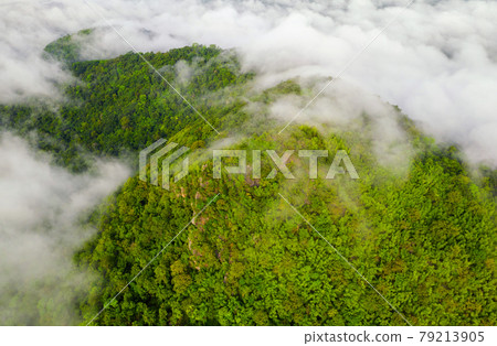 Sea of cloud Sea of cloud 79213905