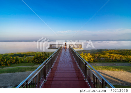 Landscape nature flower Tung Bua Tong, View point. 79213956