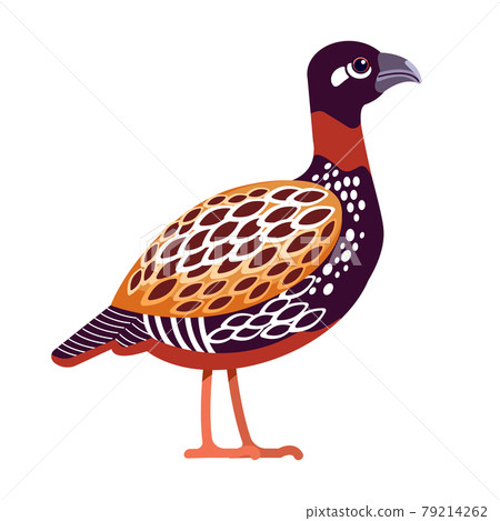 Black francolin or Black Partridge is a gamebird in the pheasant family Phasianidae of the order Galliformes, gallinaceous birds. Cartoon, flat character of ornithology, vector illustration isolated 79214262