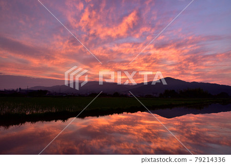 Sunrise in the Nara Basin Sunrise in the Nara Basin 79214336