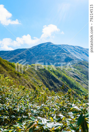 攀登太林山/千倉山：從松出山路線眺望太林山 79214515