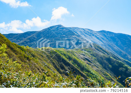 攀登太林山/千倉山:從松出山路線眺望太林山 攀登太林山/千倉山:從松出山路線眺望太林山 79214516