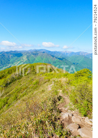 Climbing Mt. Tairapyo and Mt. Sennokura: Scenery of Mt. Matsude course (toward Naeba) Climbing Mt. Tairapyo and Mt. Sennokura: Scenery of Mt. Matsude course (toward Naeba) 79214524