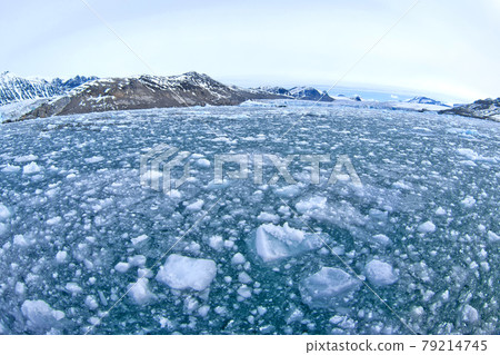 Drift floating Ice and Snowcapped Mountains, Arctic, Svalbard, Norway Drift floating Ice and Snowcapped Mountains, Arctic, Svalbard, Norway 79214745