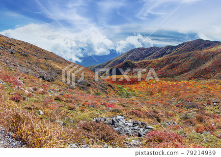 秋天從櫪栖山第9山道看到的風景[櫪木縣那須町] 79214939