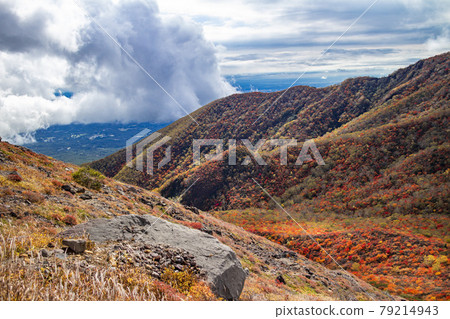 Scenery seen from the 9th mountain trail of Mt. Chausu in autumn [Nasu Town, Tochigi Prefecture] 79214943
