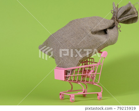 brown bag in a miniature little shopping cart on a green background. Wealth brown bag in a miniature little shopping cart on a green background. Wealth 79215919