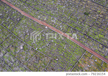 Pico Island Azores vineyard wine grapes protected by lava stone aerial view Pico Island Azores vineyard wine grapes protected by lava stone aerial view 79216154
