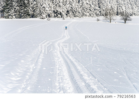 Cross country skiing track on sunny day 79216563