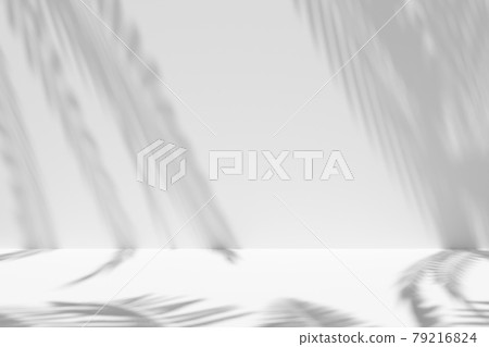 White wall with palms trees shadows 79216824