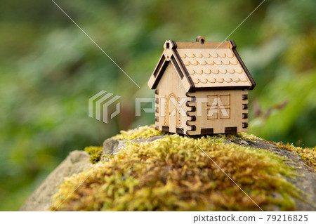 Wooden house model in a forest Eco house concept 79216825