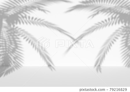 White wall and floor with palm tree shadows 79216829