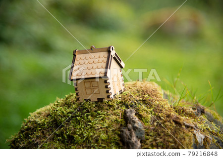 Wooden house model in a forest Eco house concept Wooden house model in a forest Eco house concept 79216848