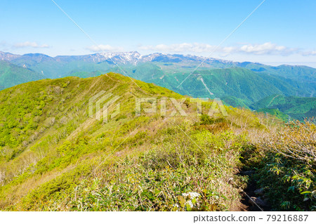 Tairapyo山/千倉山:從鬆手山路線上看到苗場山 Tairapyo山/千倉山:從鬆手山路線上看到苗場山 79216887