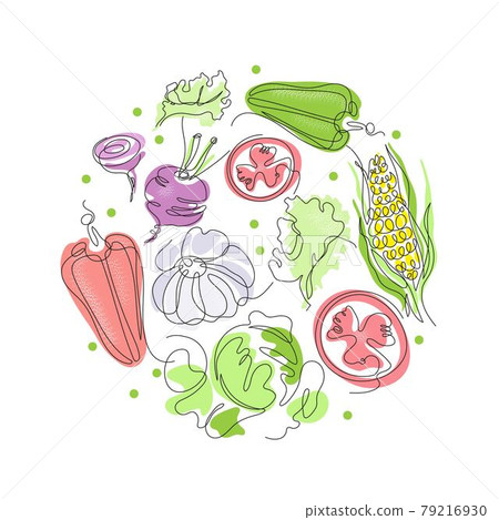 Vegetables are drawn with a single line. Round composition. Vegetarian menu. 79216930