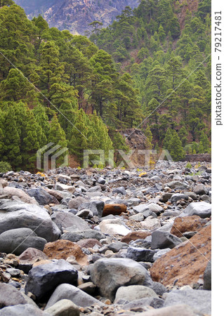 Barranco Verduras de Alfonso, Caldera de Taburiente National Park, Canary Islands, Spain 79217481