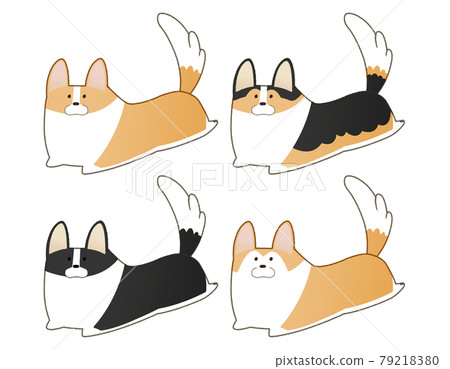 運行柯基犬 4 種顏色 運行柯基犬 4 種顏色 79218380