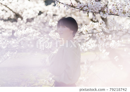 Cherry blossom and woman portrait Cherry blossom and woman portrait 79218742