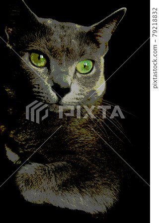 貓俄羅斯藍色 79218832