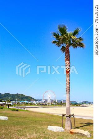 蒲郡市、拉古娜十博世及其周邊風光 蒲郡市、拉古娜十博世及其周邊風光 79219525
