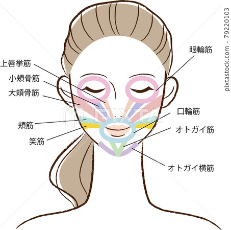 面部肌肉 面部肌肉 79220103