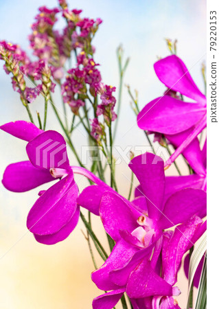 Pink mokara and statice 79220153