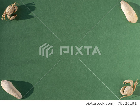 Flat Lay. A template for a design with a green background, and crabs and seashells in the corners. Top view. Flat Lay. A template for a design with a green background, and crabs and seashells in the corners. Top view. 79220191