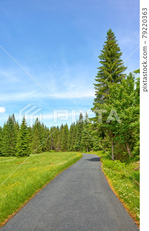 Scenic road in Jizera Mountains near Jakuszyce, Poland. Scenic road in Jizera Mountains near Jakuszyce, Poland. 79220363