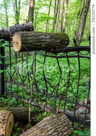 A bent metal fence on which a tree fell, a strong blow bent the fence 79220774