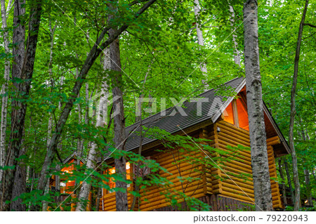 站在森林中的小屋圖片 站在森林中的小屋圖片 79220943