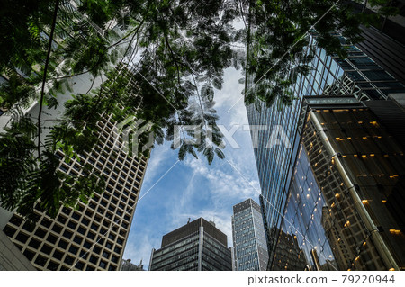 Image of skyscrapers in Hong Kong Image of skyscrapers in Hong Kong 79220944