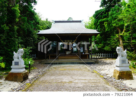 Yakushima Muses and Rescuers Yakushima Muses and Rescuers 79221064