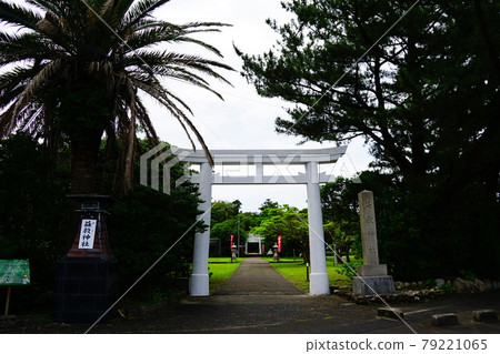 Yakushima Muses and Rescuers Yakushima Muses and Rescuers 79221065