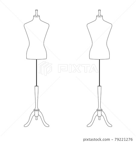兩個軀幹的插圖（白色背景、矢量、切口） 79221276