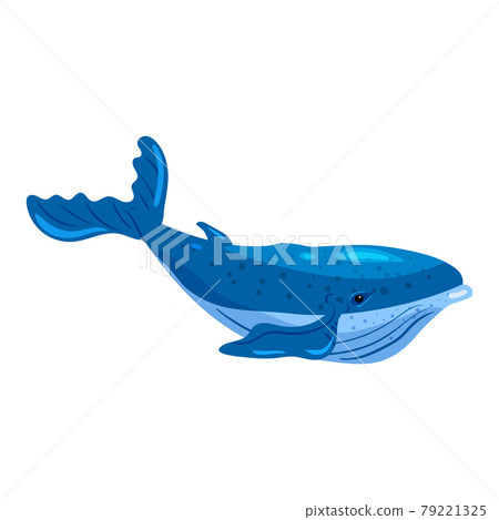 Big Blue Whale aquatic animal. Vector illustration cartoon hand draw style Big Blue Whale aquatic animal. Vector illustration cartoon hand draw style 79221325