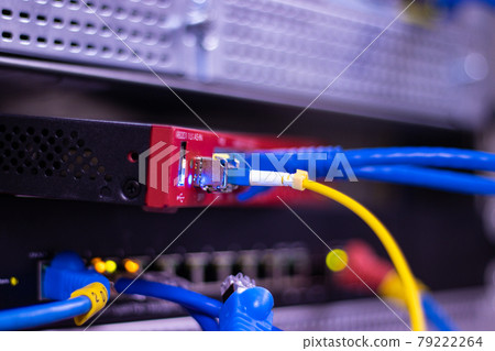 The network cables to connect the port of a switch to connect internet network, concept Communication technology The network cables to connect the port of a switch to connect internet network, concept Communication technology 79222264