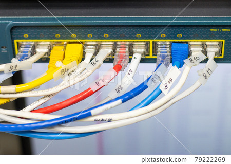 The network cables to connect the port of a switch to connect internet network, concept Communication technology The network cables to connect the port of a switch to connect internet network, concept Communication technology 79222269
