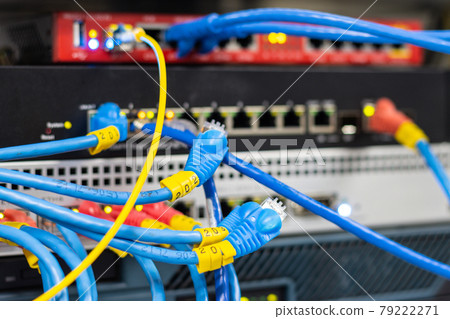 The network cables to connect the port of a switch to connect internet network, concept Communication technology The network cables to connect the port of a switch to connect internet network, concept Communication technology 79222271