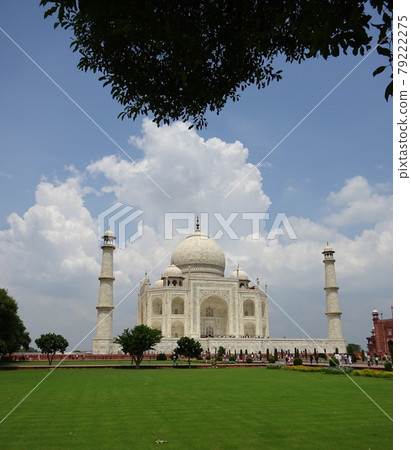 Taj Mahal facing from the shade of a tree Taj Mahal facing from the shade of a tree 79222275