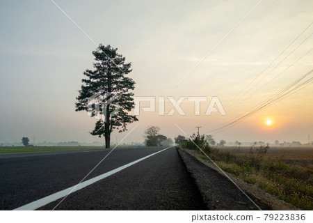 The empty asphalt road along the paddy field in the early morning with the light fog. The empty asphalt road along the paddy field in the early morning with the light fog. 79223836