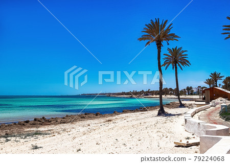 A beautiful view of the Mediterranean coast with birch water, a beach with white sand and a green palm tree. 79224068