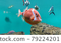 Fashionable fish! Whitebird boxfish 79224201
